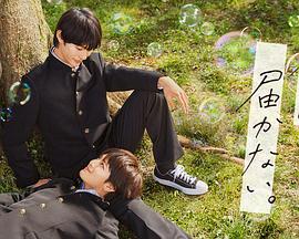 网站建设迭代优化工具